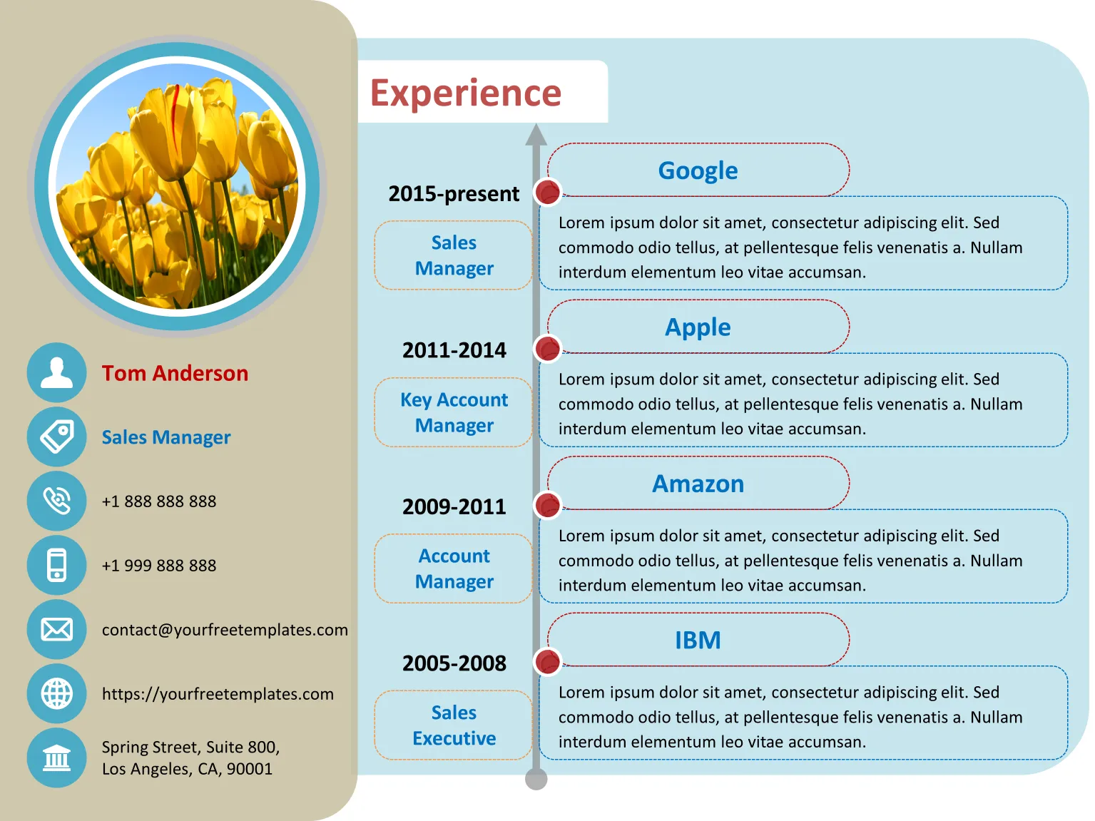 infographic resume template powerpoint free download