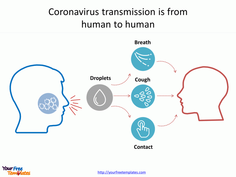 Coronavirus transmission infographic is from human to human by droplets