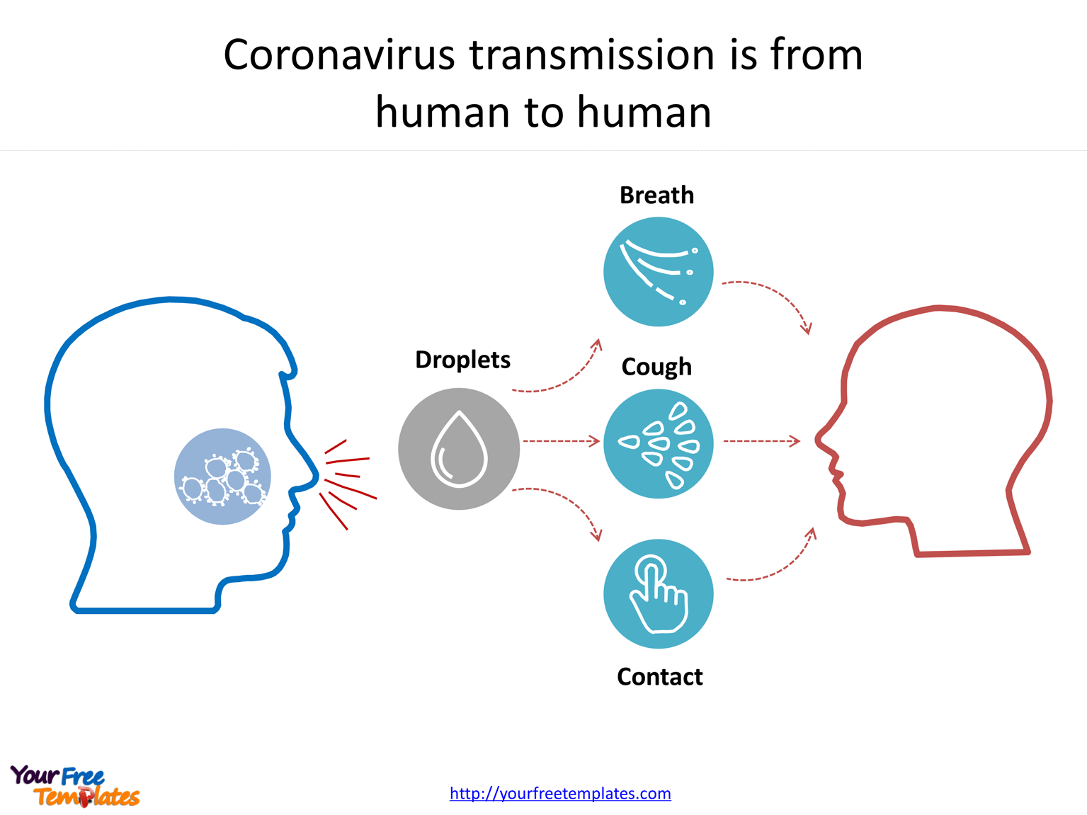 Coronavirus transmission infographic is from human to human by droplets