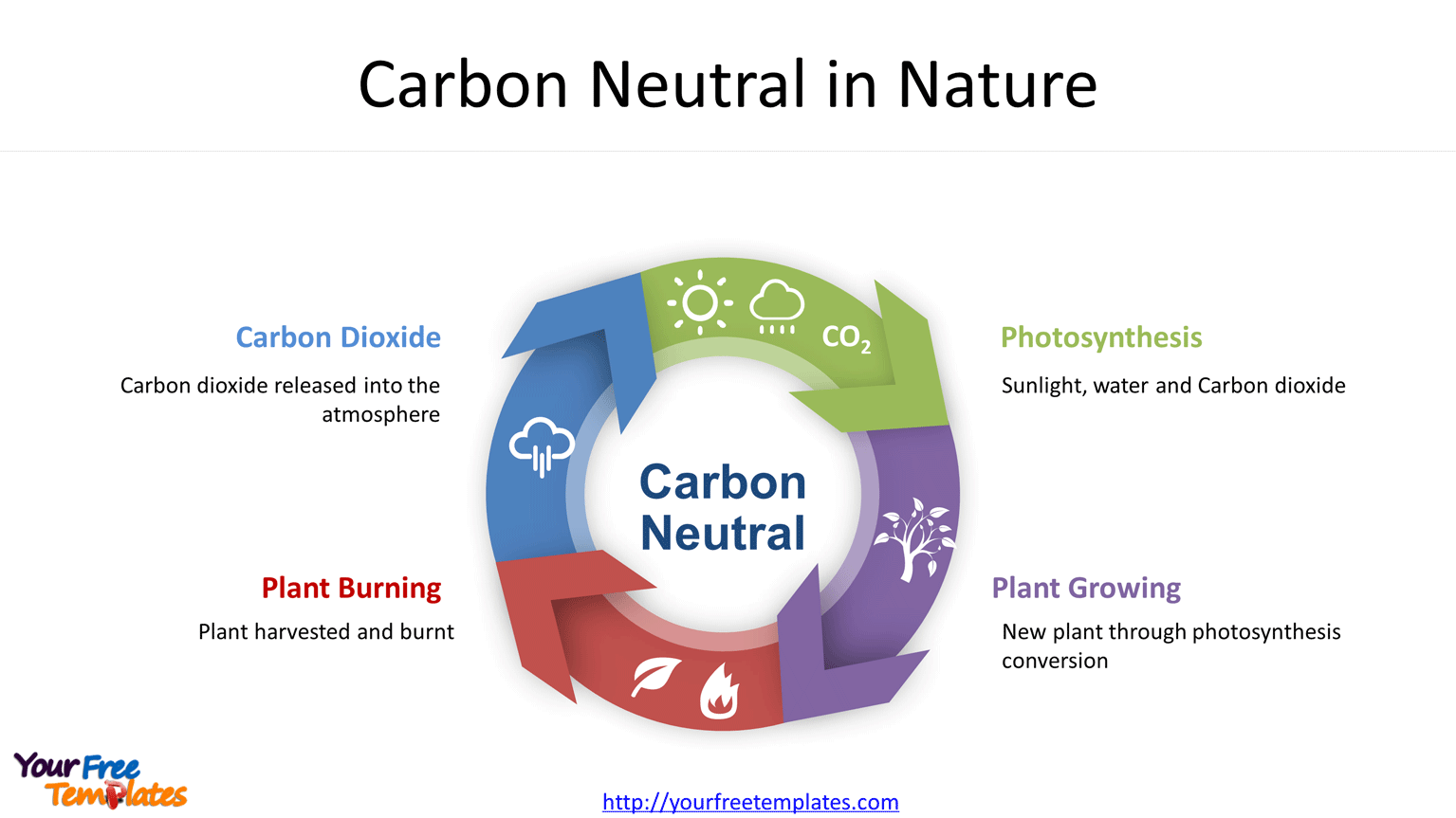 carbon balance diagram and icons to demonstrate the buzzword.