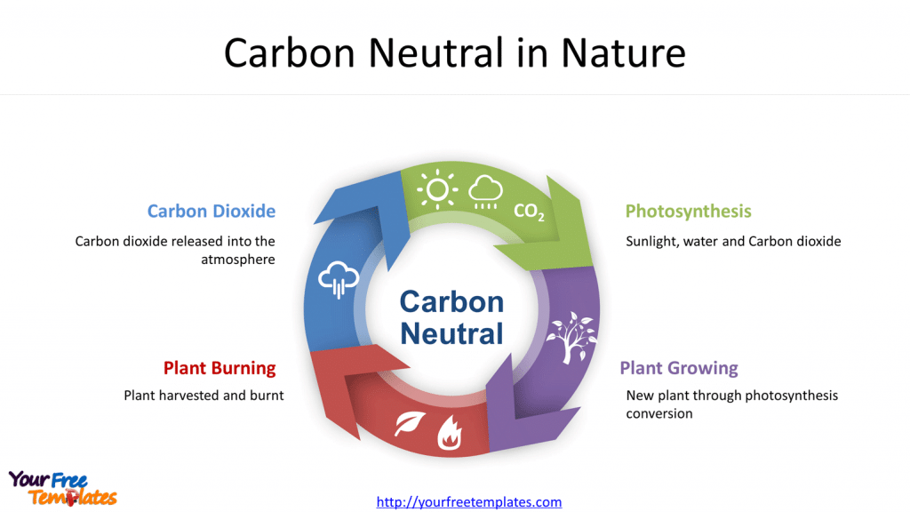 Carbon neutral diagram and icons to demonstrate the buzzword.