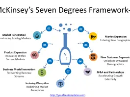 McKinsey Seven Degrees Framework